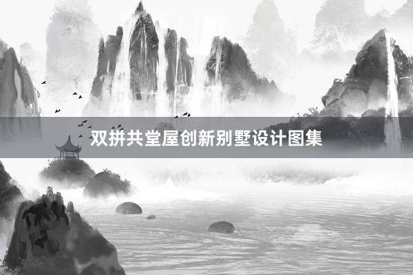 双拼共堂屋创新别墅设计图集